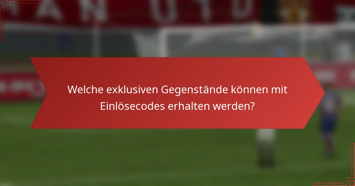 Welche exklusiven Gegenstände können mit Einlösecodes erhalten werden?